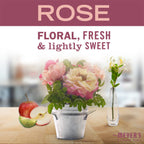 Home Essentials Dish Soap Spring Collection for daily home and personal routines with cleaning laundry and paper products
