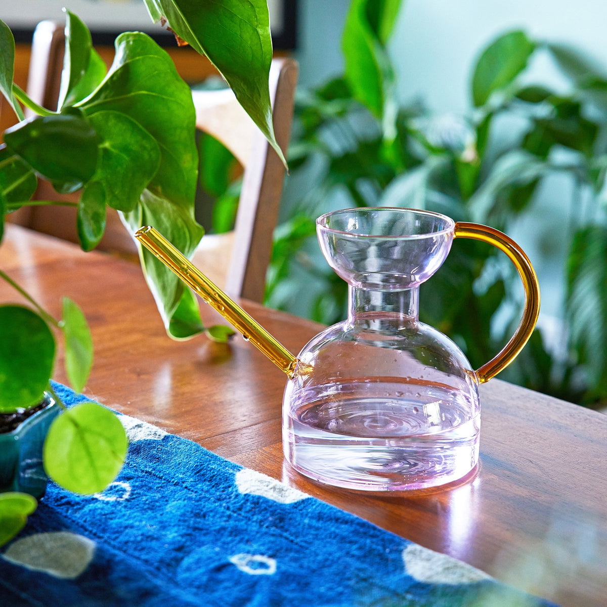 Daily Care Handcrafted Borosilicate Glass Watering Can for daily home and personal routines with pet care treats and accessories