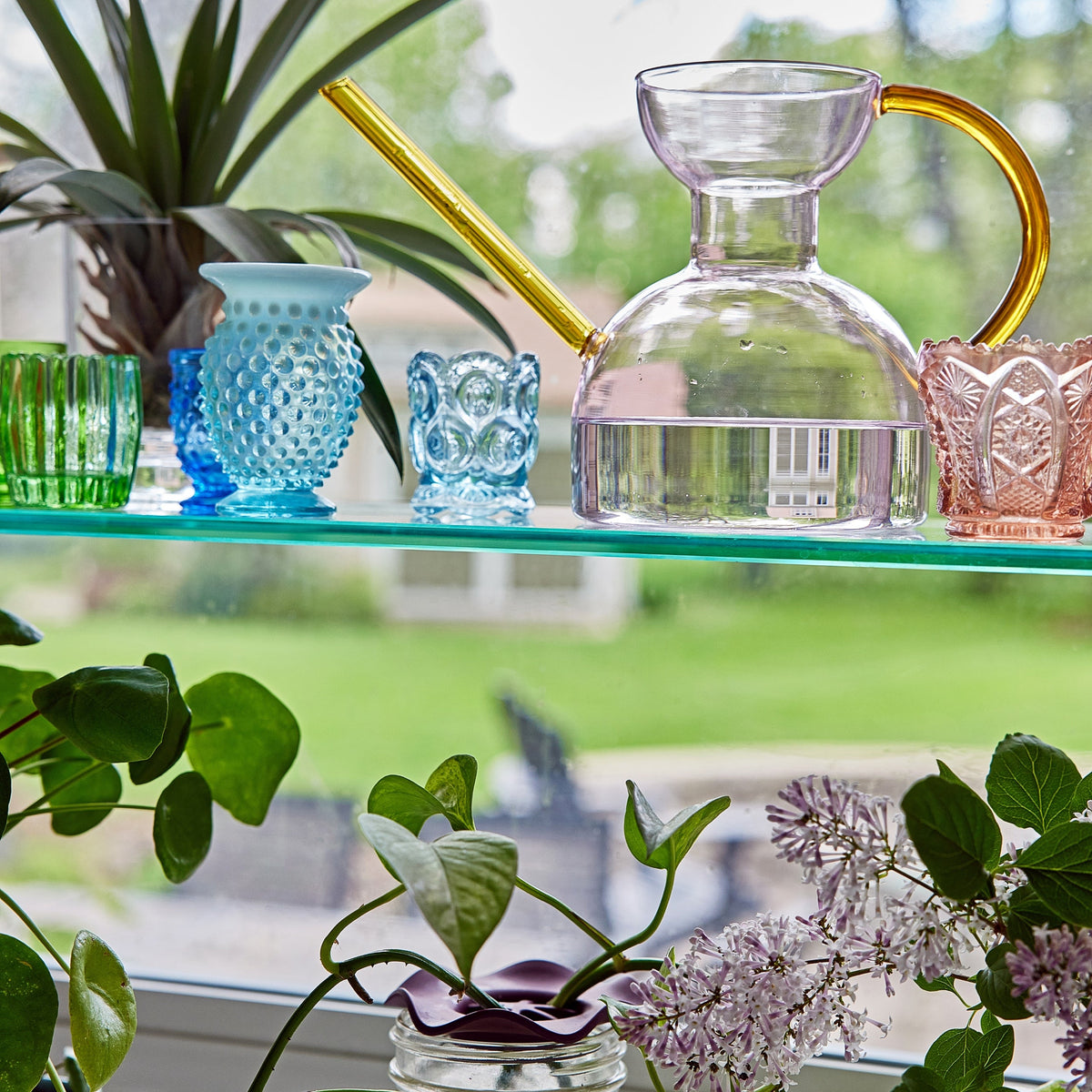 Daily Care Handcrafted Borosilicate Glass Watering Can for daily home and personal routines with pet care treats and accessories