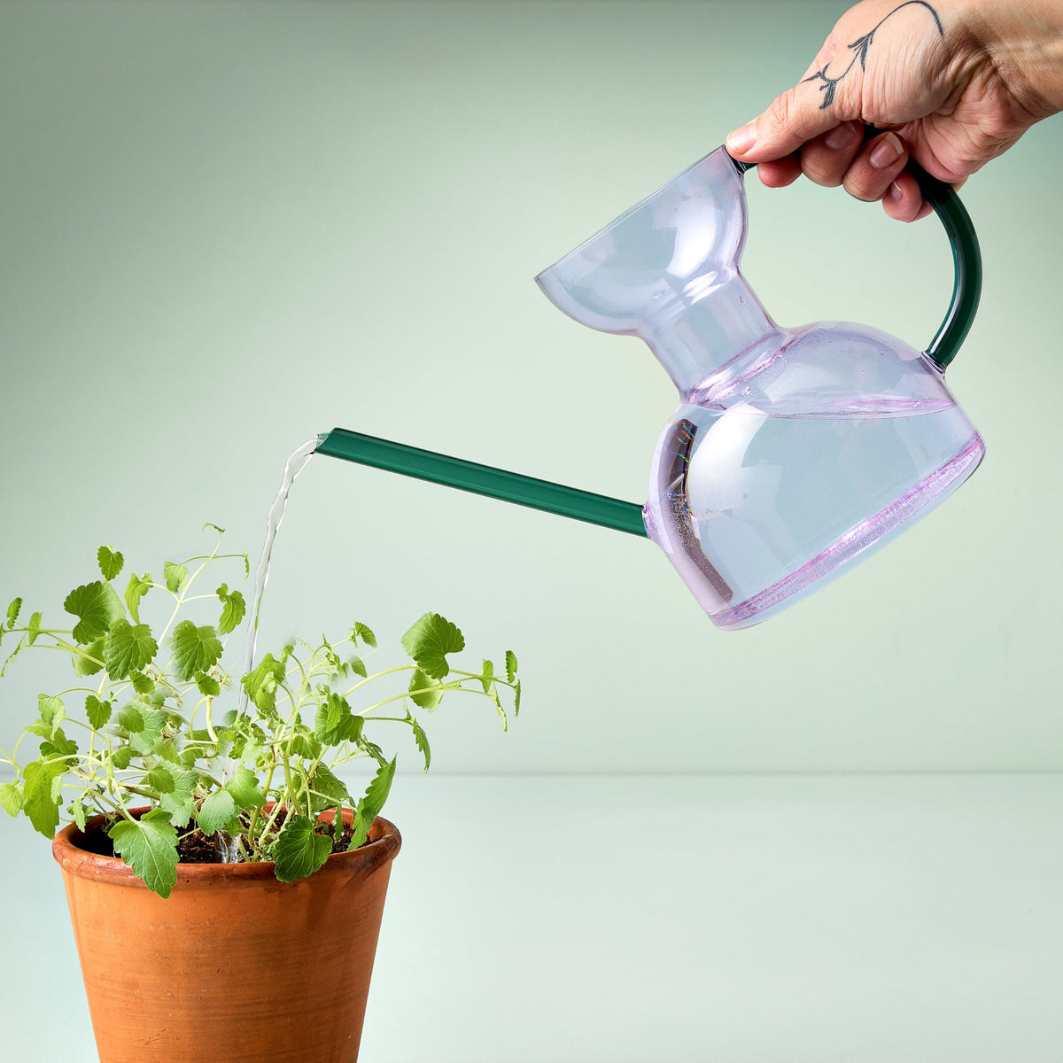 Daily Care Handcrafted Borosilicate Glass Watering Can for daily home and personal routines with pet care treats and accessories