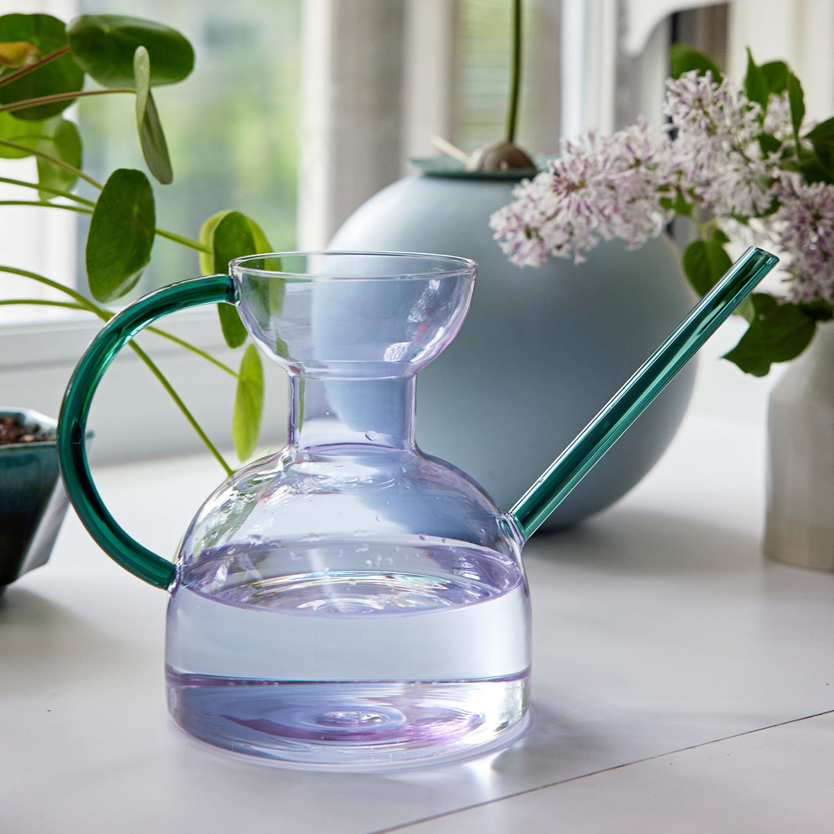 Daily Care Handcrafted Borosilicate Glass Watering Can for daily home and personal routines with pet care treats and accessories