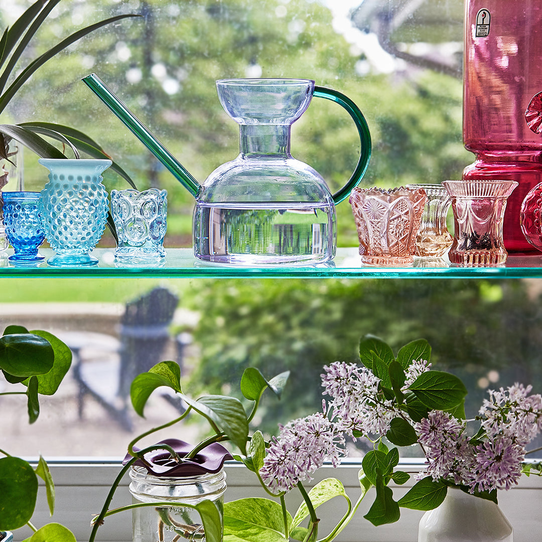 Daily Care Handcrafted Borosilicate Glass Watering Can for daily home and personal routines with pet care treats and accessories