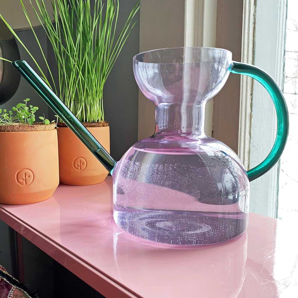 Daily Care Handcrafted Borosilicate Glass Watering Can for daily home and personal routines with pet care treats and accessories
