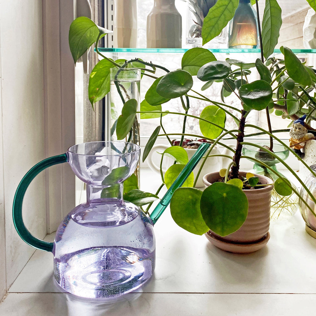 Daily Care Handcrafted Borosilicate Glass Watering Can for daily home and personal routines with pet care treats and accessories