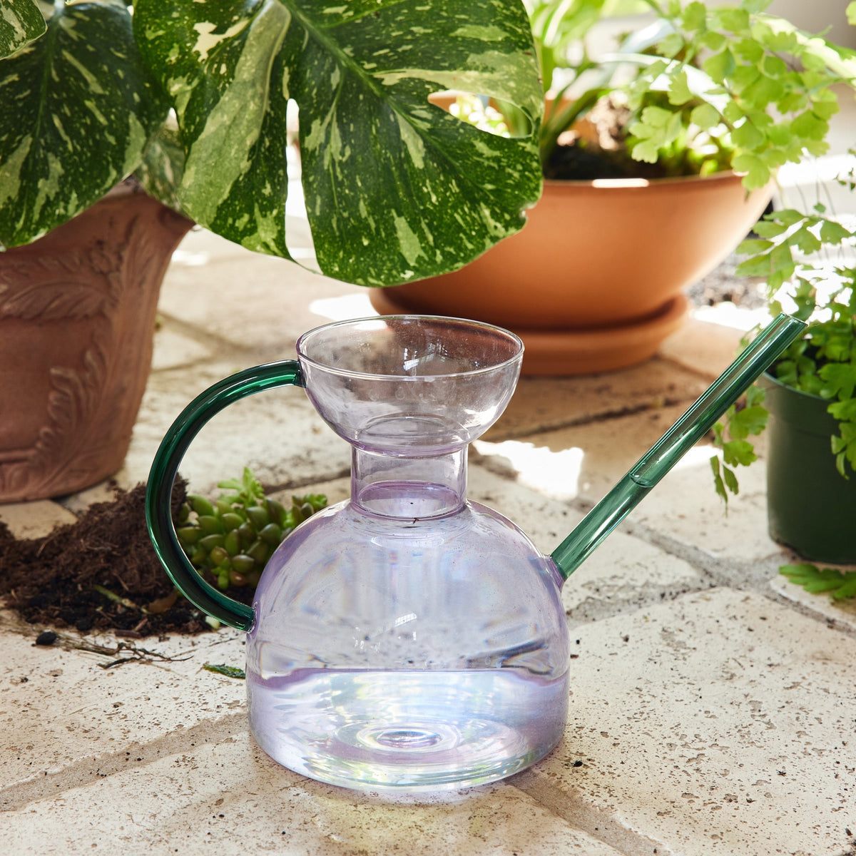 Daily Care Handcrafted Borosilicate Glass Watering Can for daily home and personal routines with pet care treats and accessories