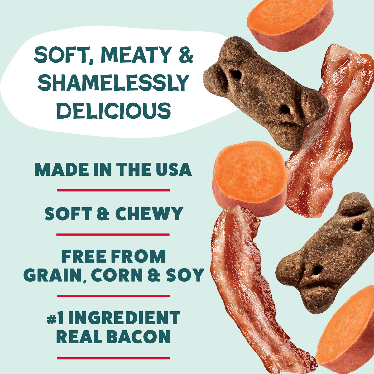 Everyday Home Dog Meaty Tenders Treats - Soft and Chewy for daily home and personal routines with pet care treats and accessories