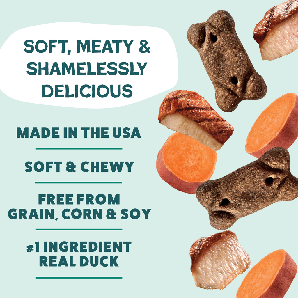 Everyday Home Dog Meaty Tenders Treats - Soft and Chewy for daily home and personal routines with pet care treats and accessories