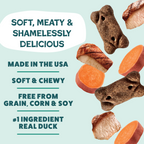 Everyday Home Dog Meaty Tenders Treats - Soft and Chewy for daily home and personal routines with pet care treats and accessories