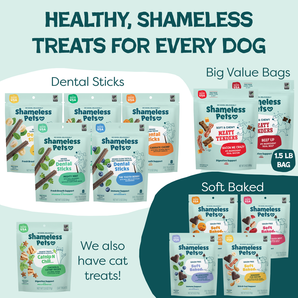 Everyday Home Dog Meaty Tenders Treats - Soft and Chewy for daily home and personal routines with pet care treats and accessories