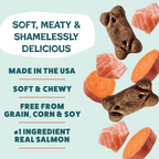 Everyday Home Dog Meaty Tenders Treats - Soft and Chewy for daily home and personal routines with pet care treats and accessories