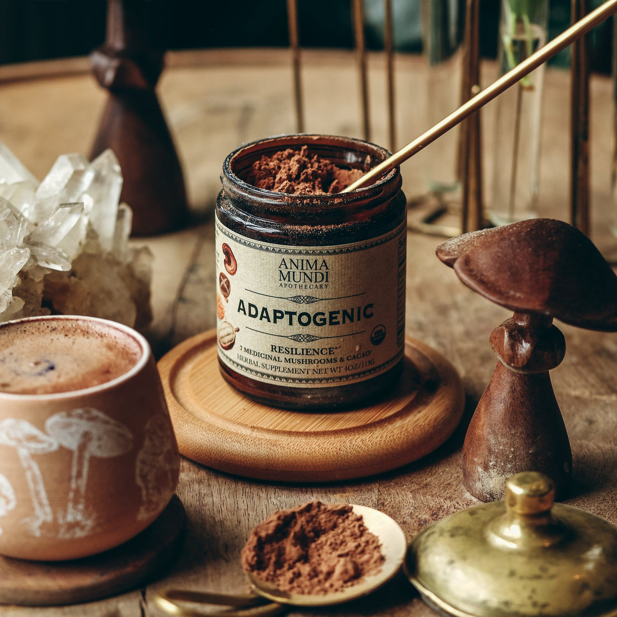 Everyday Home ADAPTOGENIC Powder, 7 Medicinal Mushrooms + Cacao for daily home and personal routines with general everyday essentials