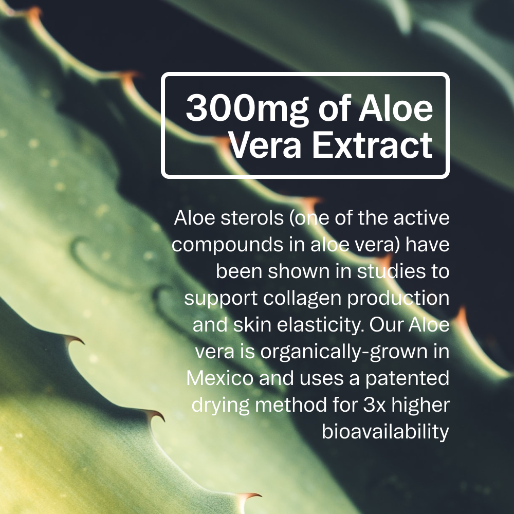 Routine Ready Aloe Gorgeous Vegan Collagen-Boosting Powder for daily home and personal routines with general everyday essentials
