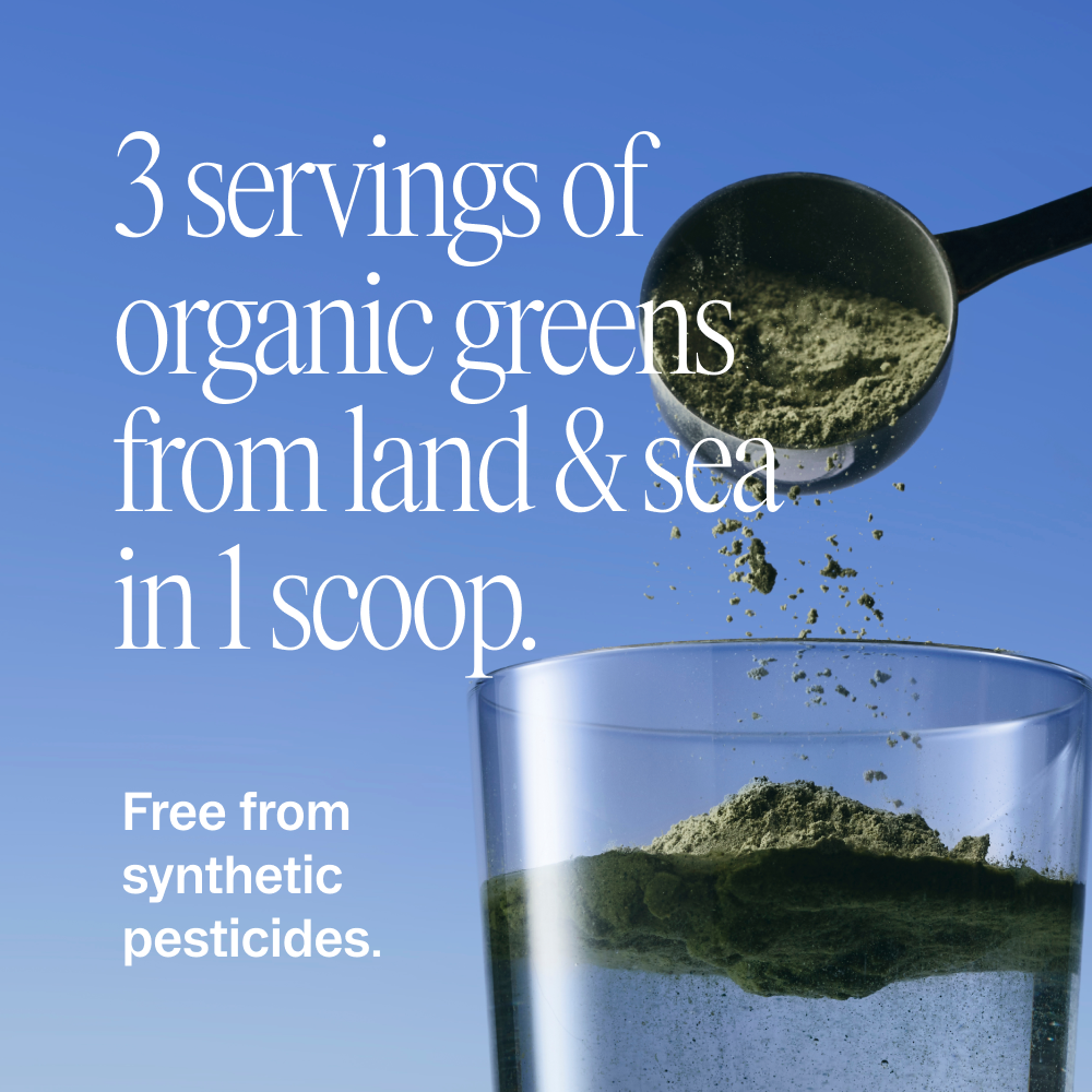 Home Essentials Easy Being Green Daily Active Superfood Greens Powder for daily home and personal routines with pantry foods and beverages
