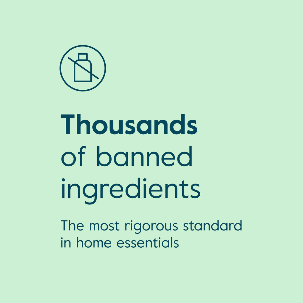 Everyday Home Berberine - 1000mg for daily home and personal routines with general everyday essentials