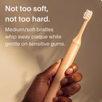 Daily Care Brush Replacement Heads for daily home and personal routines with oral care