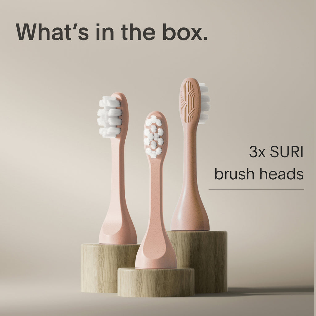 Daily Care Brush Replacement Heads for daily home and personal routines with oral care