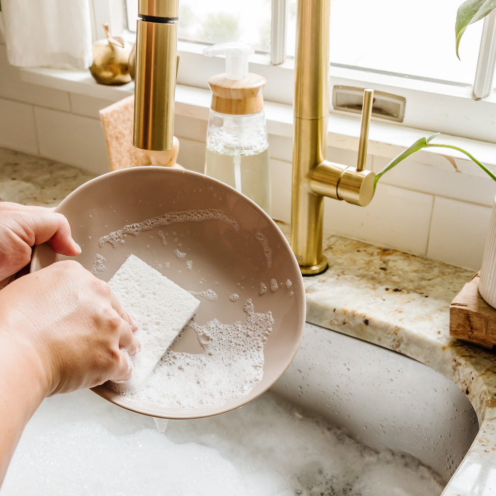 Practical Living Cellulose Plant Sponges for daily home and personal routines with cleaning laundry and paper products