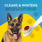 Practical Living Canine Organic Dental Solutions Kit, All Ages for daily home and personal routines with oral care
