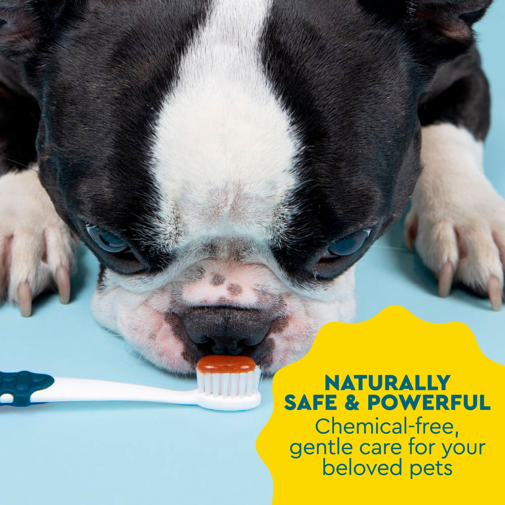 Practical Living Canine Organic Dental Solutions Kit, All Ages for daily home and personal routines with oral care