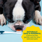Practical Living Canine Organic Dental Solutions Kit, All Ages for daily home and personal routines with oral care