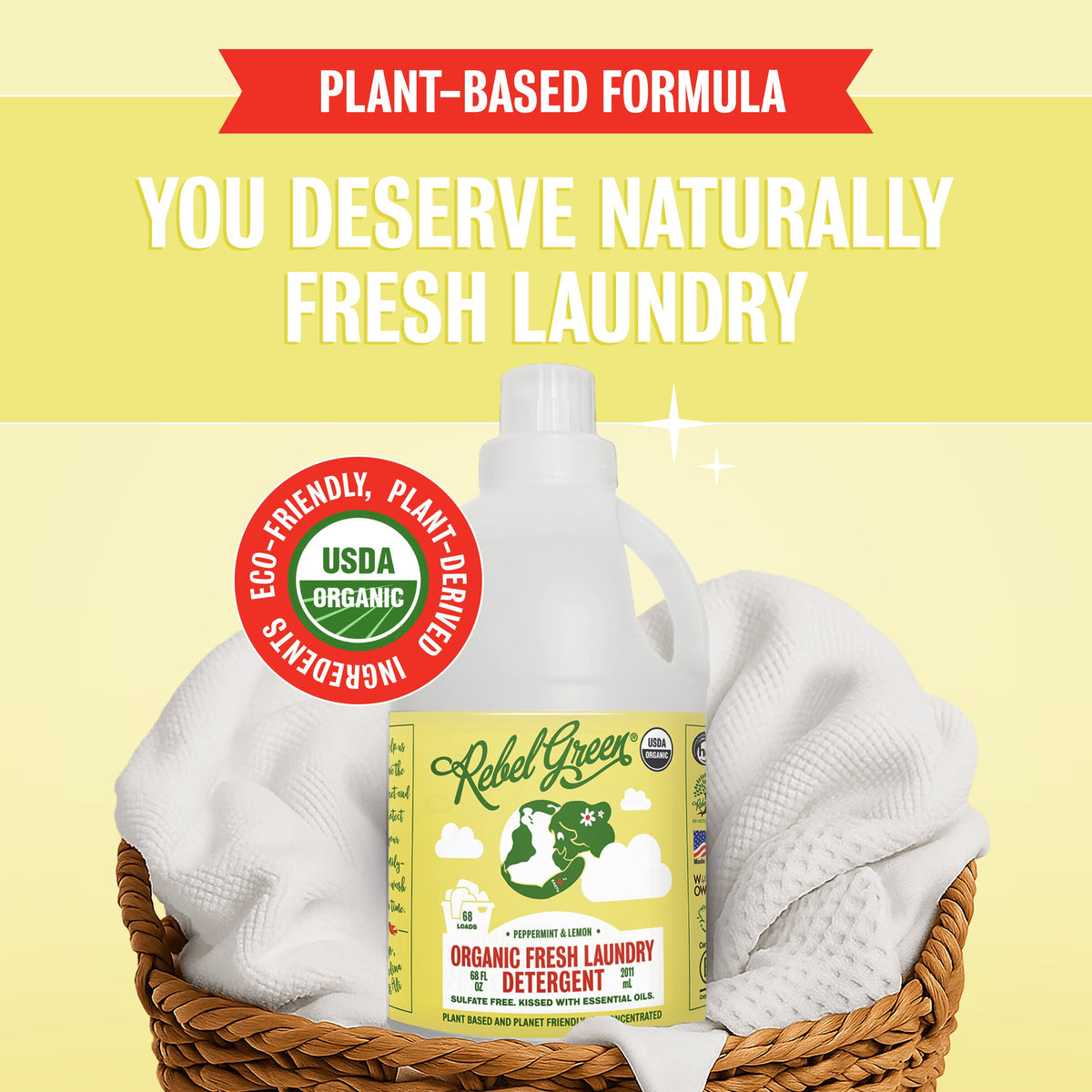 Everyday Home Fresh Laundry Detergent Liquid - 3x Concentrated for daily home and personal routines with cleaning laundry and paper products