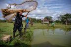 Home Essentials Forest and Biodiversity Protection for daily home and personal routines with general everyday essentials