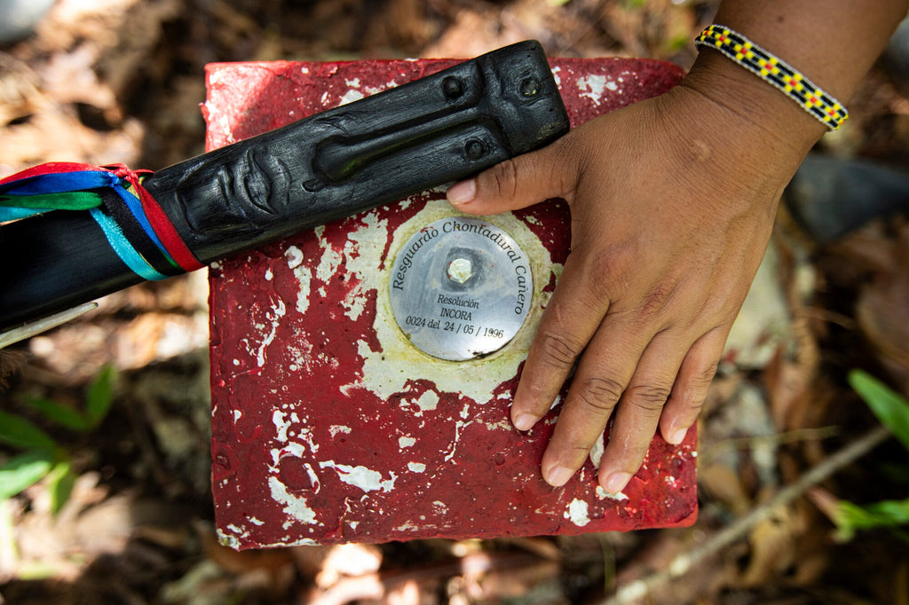 Home Essentials Forest and Biodiversity Protection for daily home and personal routines with general everyday essentials