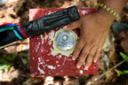 Home Essentials Forest and Biodiversity Protection for daily home and personal routines with general everyday essentials