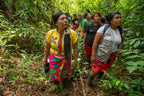Home Essentials Forest and Biodiversity Protection for daily home and personal routines with general everyday essentials