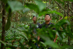 Home Essentials Forest and Biodiversity Protection for daily home and personal routines with general everyday essentials