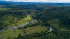 Home Essentials Forest and Biodiversity Protection for daily home and personal routines with general everyday essentials