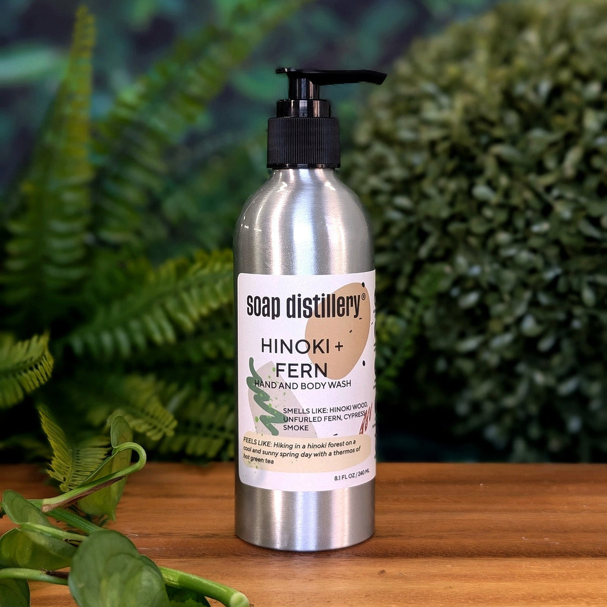 Routine Ready Hand + Body Wash for daily home and personal routines with bath body and hygiene