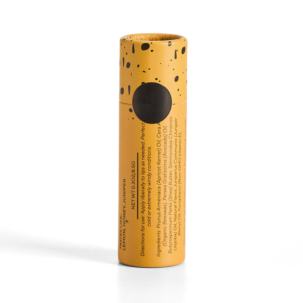 Routine Ready Lip Balm for daily home and personal routines with facial skin and sun care