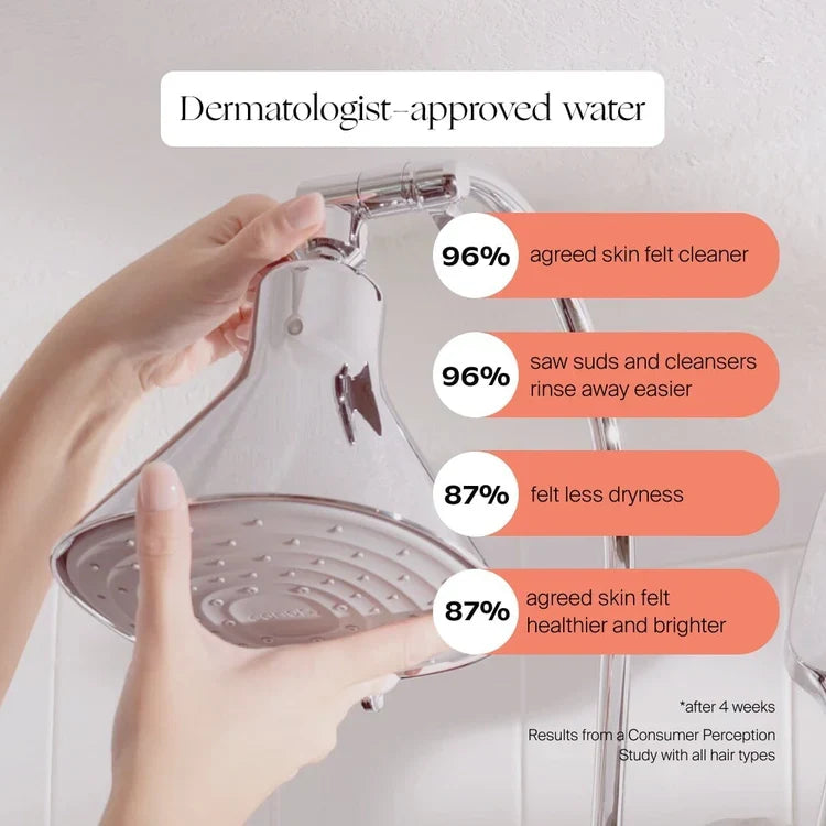 Home Essentials Filtered Showerhead for daily home and personal routines with general everyday essentials