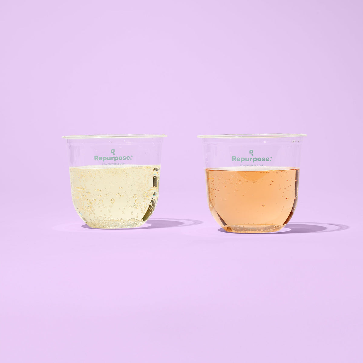 Everyday Home Compostable Cold Cups for daily home and personal routines with general everyday essentials