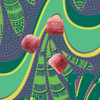 Home Essentials Berry Beautiful SuperGummies for daily home and personal routines with pantry foods and beverages