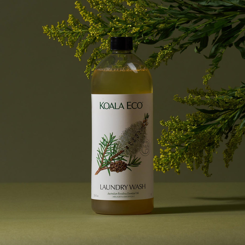 Daily Care Laundry Wash for daily home and personal routines with cleaning laundry and paper products