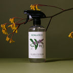 Home Essentials Glass Cleaner for daily home and personal routines with cleaning laundry and paper products