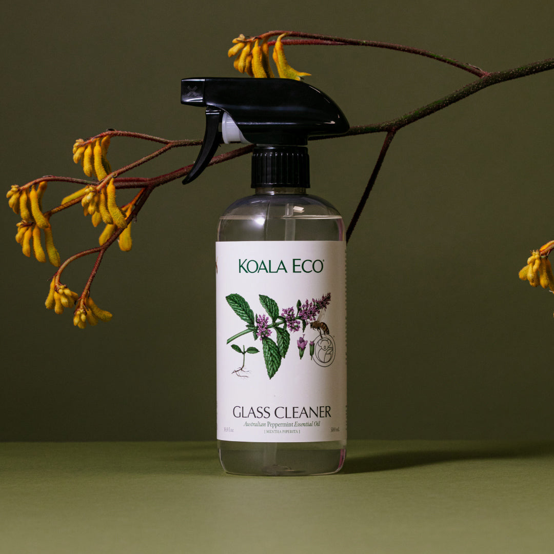 Home Essentials Glass Cleaner for daily home and personal routines with cleaning laundry and paper products