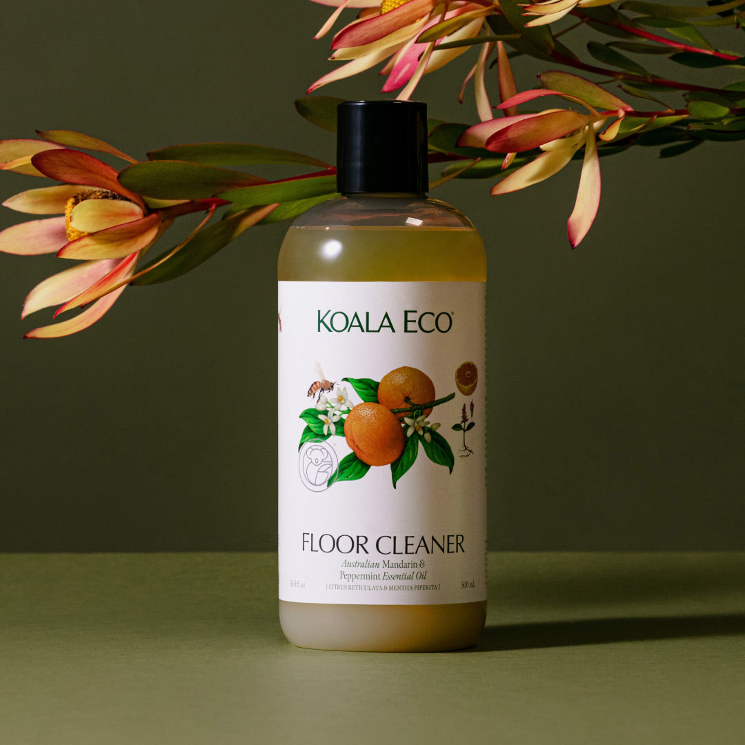 Routine Ready Floor Cleaner for daily home and personal routines with cleaning laundry and paper products