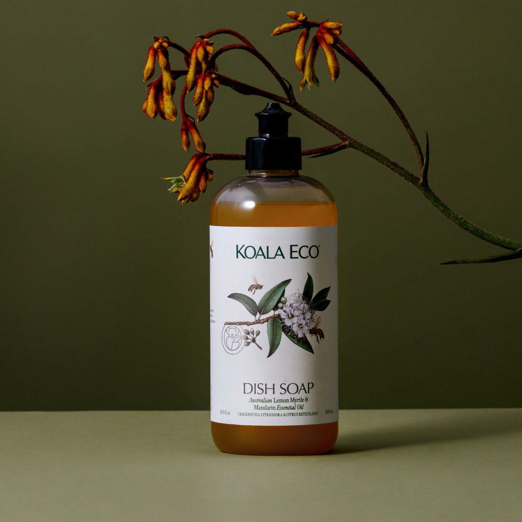 Routine Ready Dish Soap for daily home and personal routines with cleaning laundry and paper products