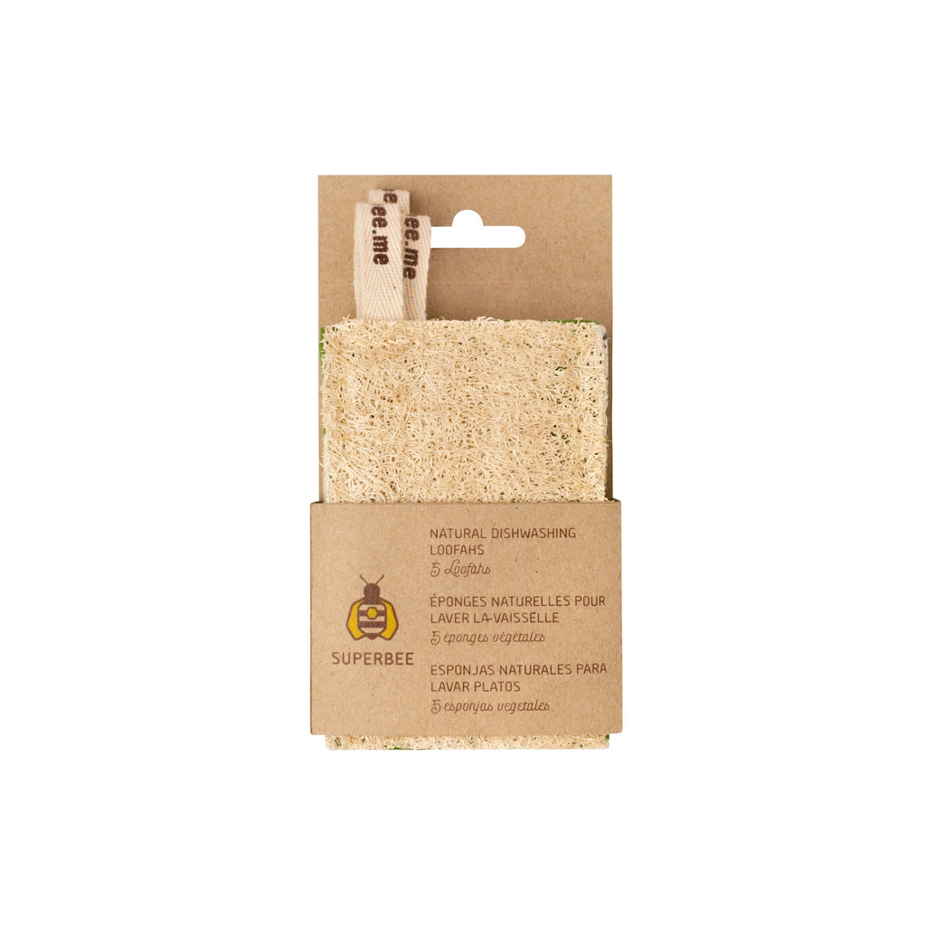 Routine Ready Kitchen Loofah Dish Sponge for daily home and personal routines with cleaning laundry and paper products