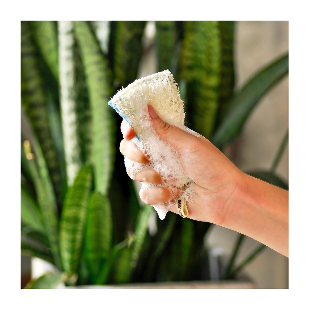 Routine Ready Kitchen Loofah Dish Sponge for daily home and personal routines with cleaning laundry and paper products