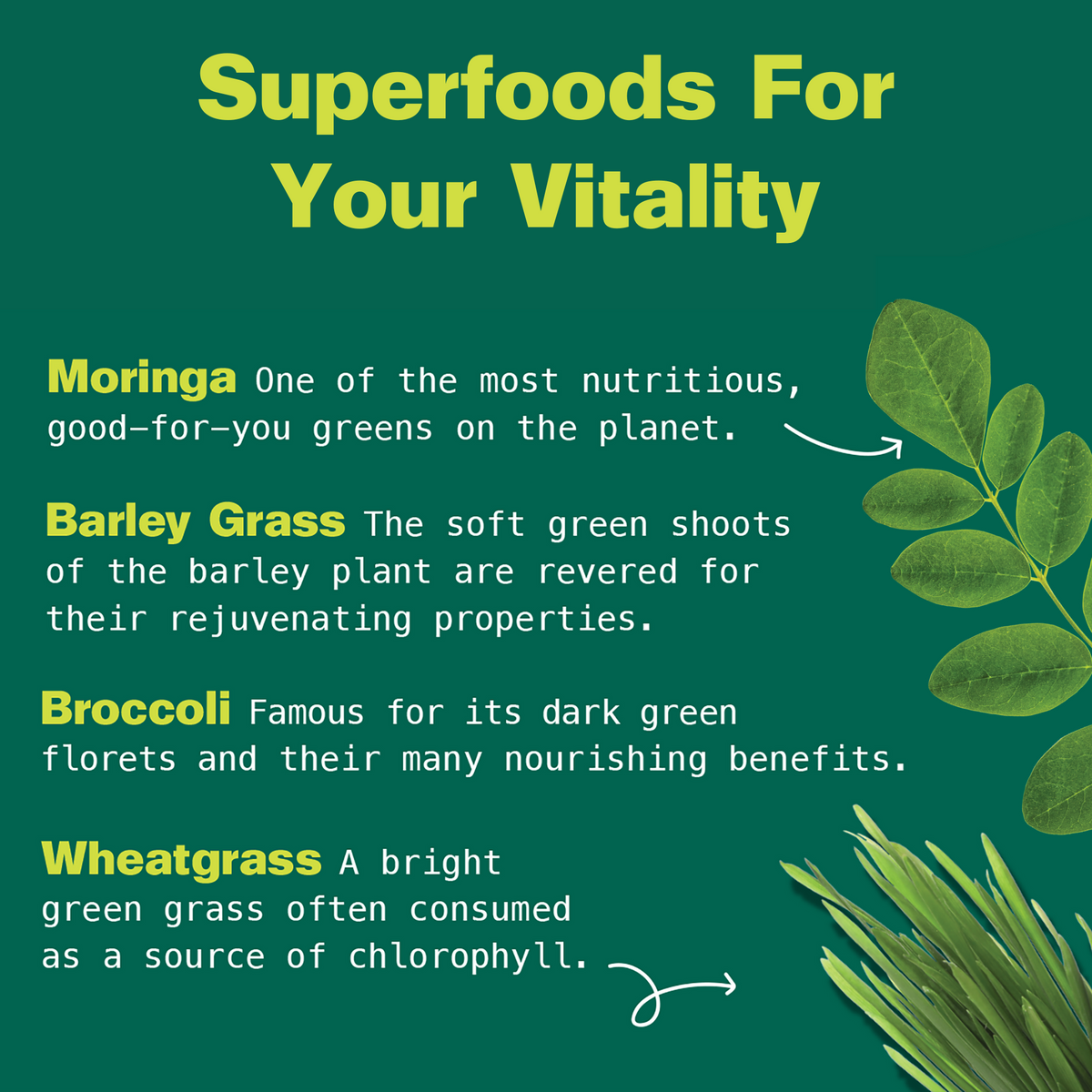 Home Essentials Green Power Organic Super Greens Blend for daily home and personal routines with pantry foods and beverages