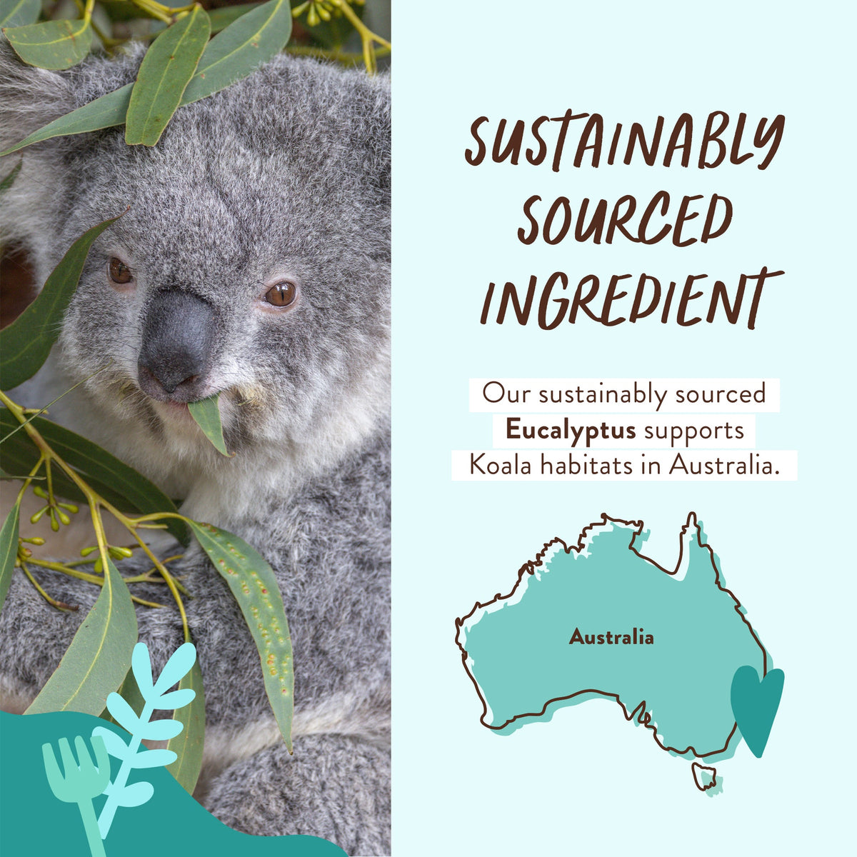 Everyday Home Eucalyptus Body Wash and Bubble Bath for daily home and personal routines with bath body and hygiene