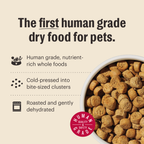 Everyday Home Dry Dog Food, Grain included Beef Whole Food Clusters for daily home and personal routines with pet care treats and accessories