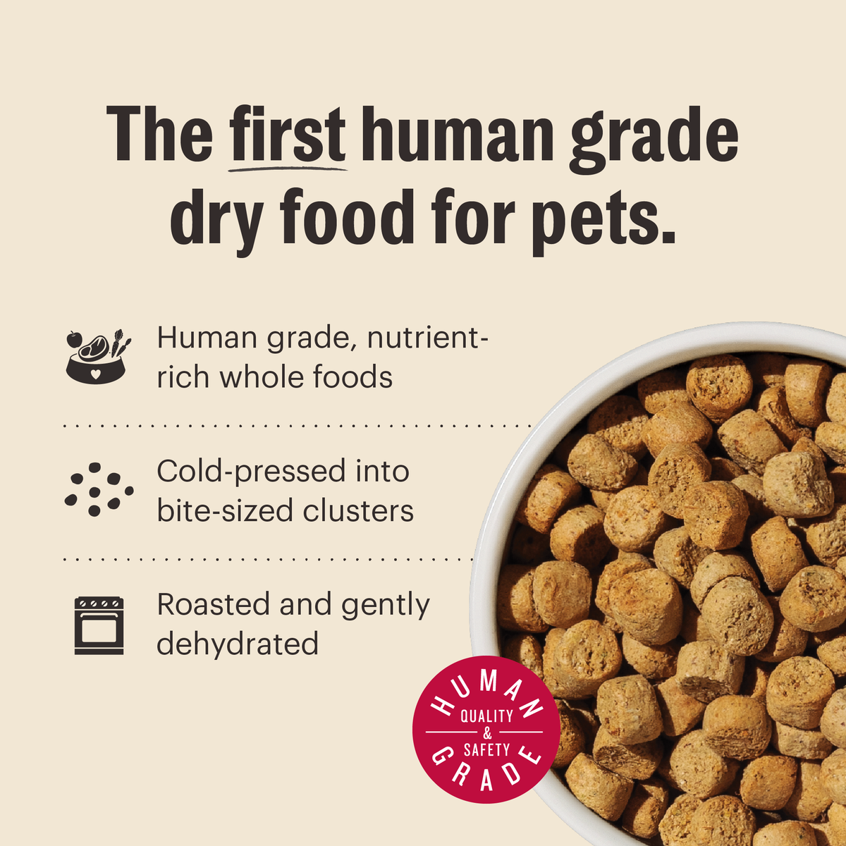 Everyday Home Dry Dog Food, Grain included Beef Whole Food Clusters for daily home and personal routines with pet care treats and accessories