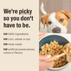 Everyday Home Dry Dog Food, Grain included Beef Whole Food Clusters for daily home and personal routines with pet care treats and accessories