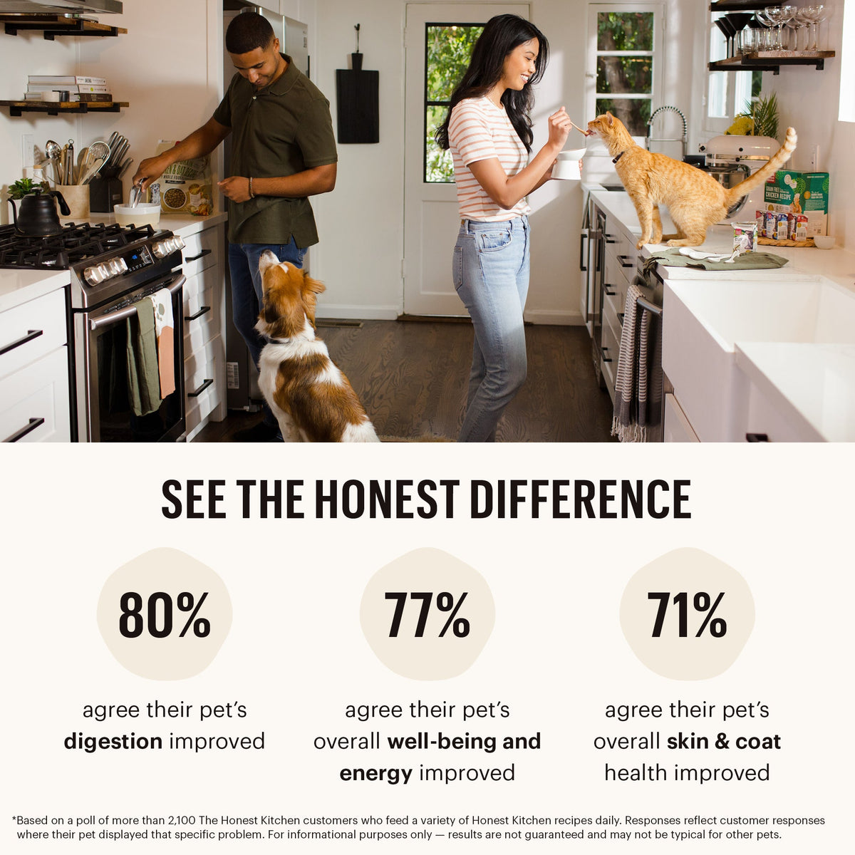 Everyday Home Dry Dog Food, Grain included Beef Whole Food Clusters for daily home and personal routines with pet care treats and accessories