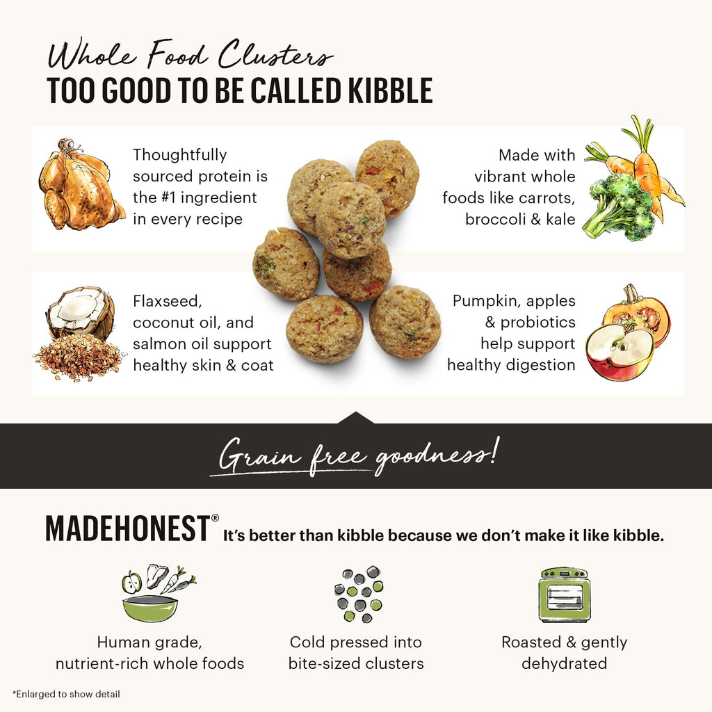 Daily Care Dry Dog Food, Grain included Chicken Whole Food Clusters for daily home and personal routines with pet care treats and accessories